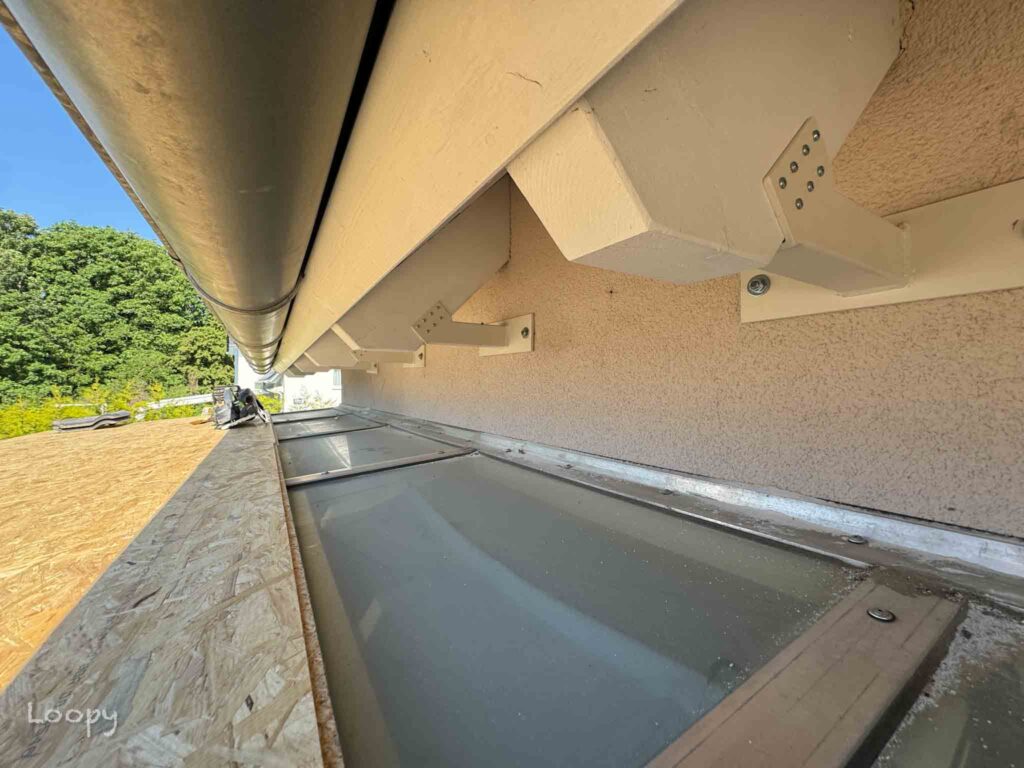 img 4221 alexander burkert